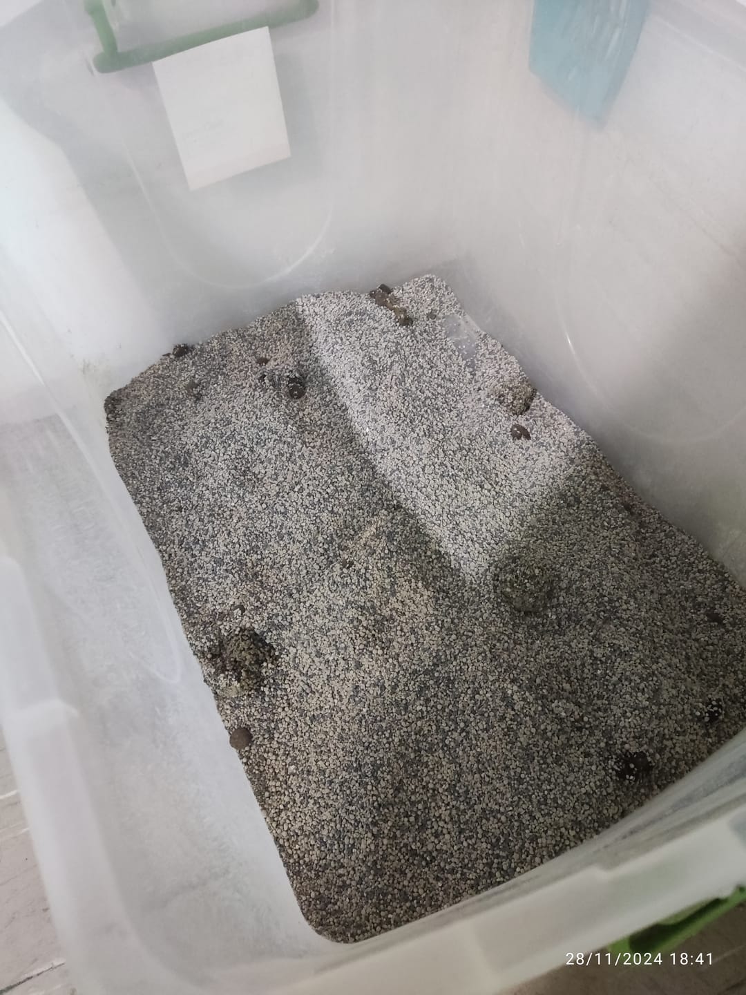 Customer photo review of Arena Minino 48kg - Carbón Activado [Nueva]
