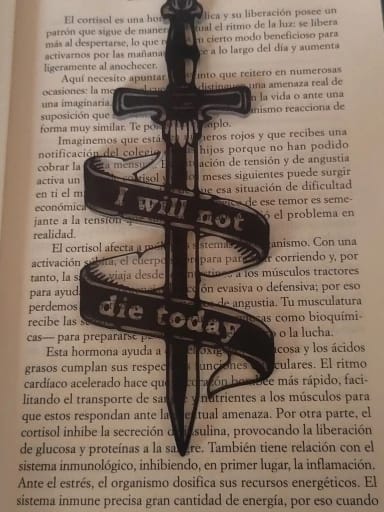 Customer photo review of Fourth Wing Acrylic Bookmarks
