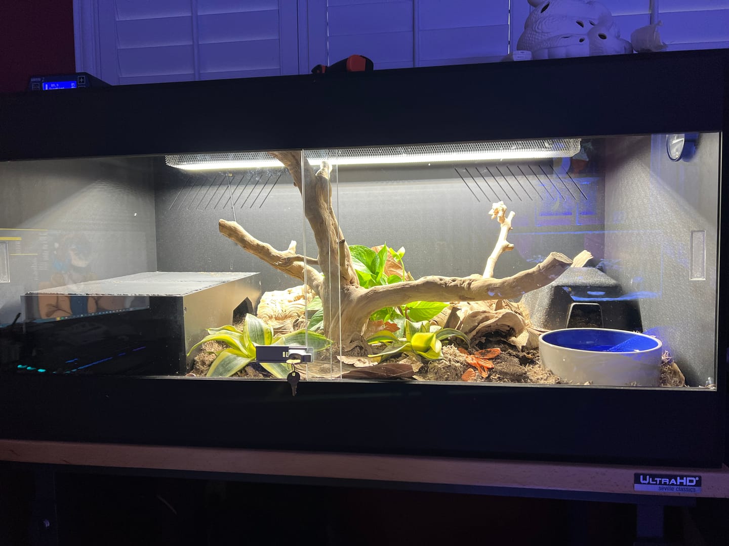 Customer photo review of 48"x24"x24" / 4'x2'x2' Premium PVC Reptile Enclosure