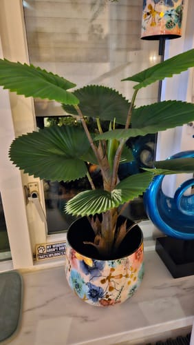 Customer photo review of Kunst Waaierpalm 75cm