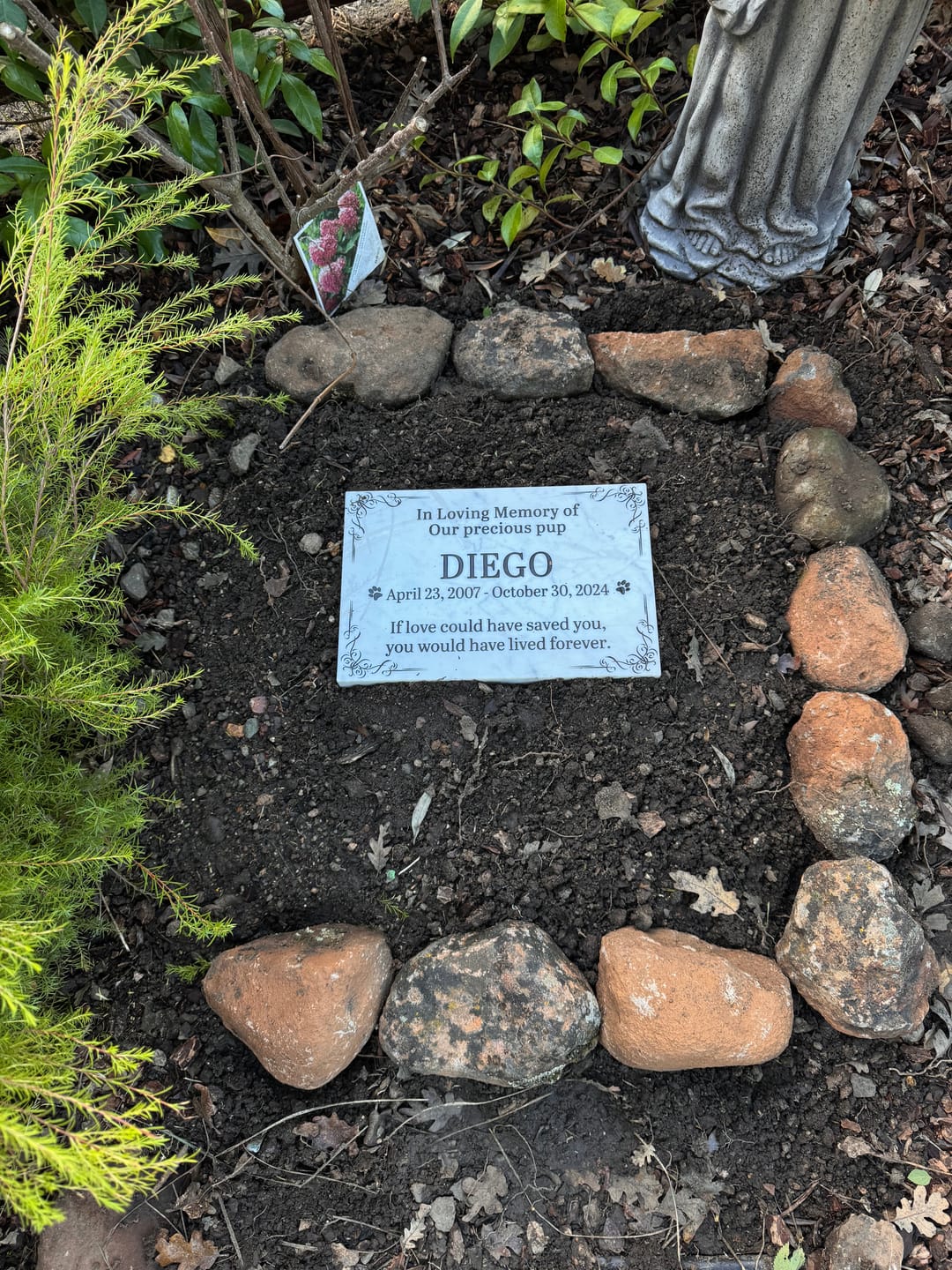 Customer photo review of Pet Grave Plaque Marble Marker, Pet headstones, Custom Outdoor Engraved Pet Stone In Loving Memory