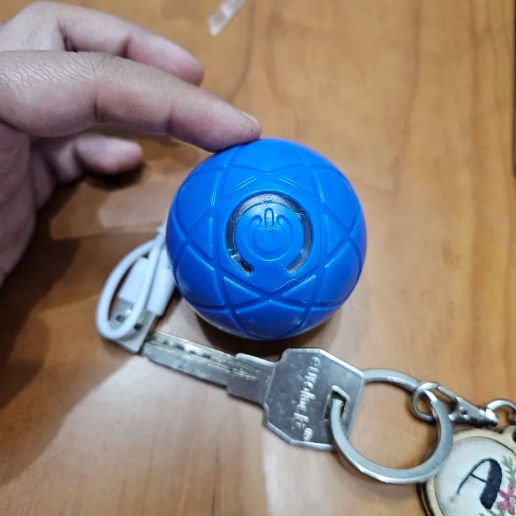 Customer photo review of Smart Dog Toy Ball Electronic Interactive Pet Toy Moving Ball USB Automatic Moving Bouncing for Puppy Birthday Gift Cat Products