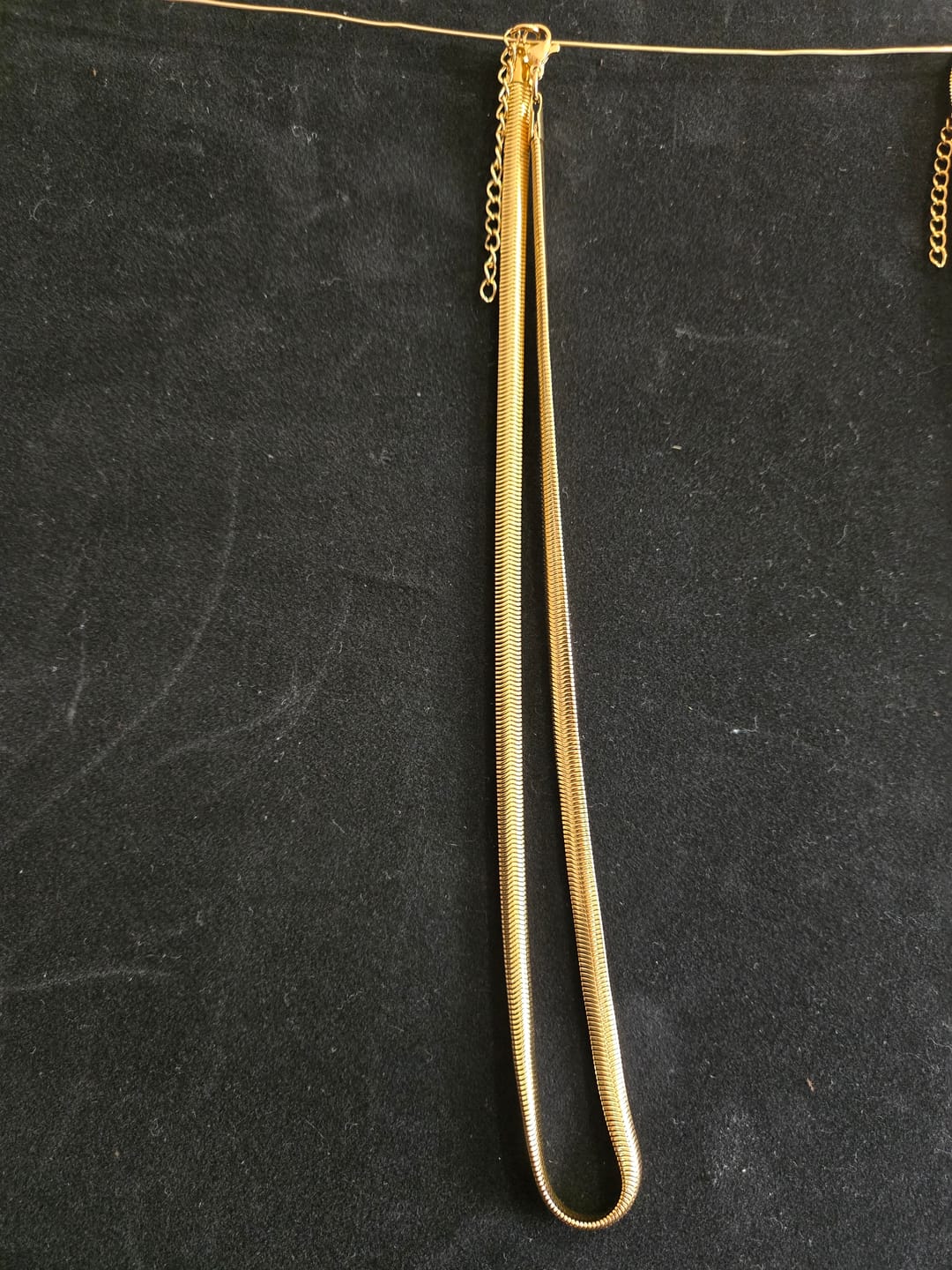 Customer photo review of Collar Abelia