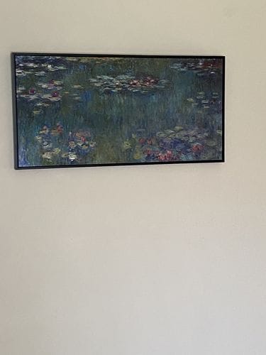 Customer photo review of Water Lilies, Monet
