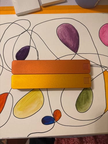 Customer photo review of Weekly AM-PM Pill Case 2.0