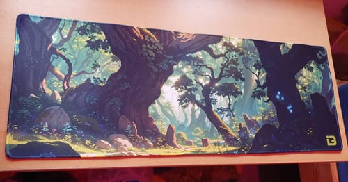 Customer photo review of Enchanted Woods