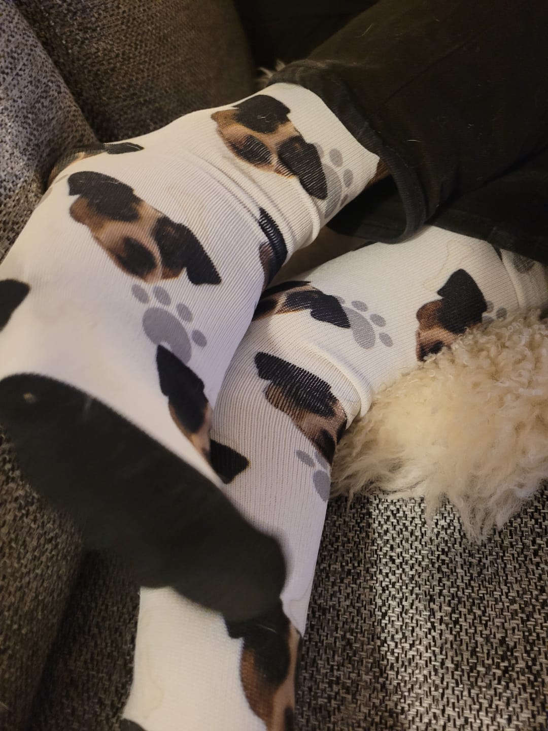 Customer photo review of FaceSock | Custom Dog Socks With Photo