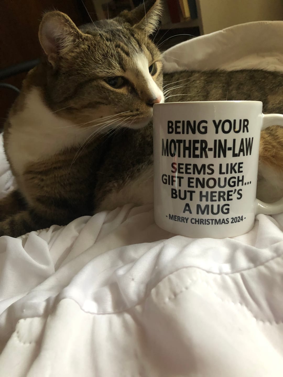 Customer photo review of Being Your Mother-In-Law Christmas Gift 2024 11oz Unique Coffee Cup Mug
