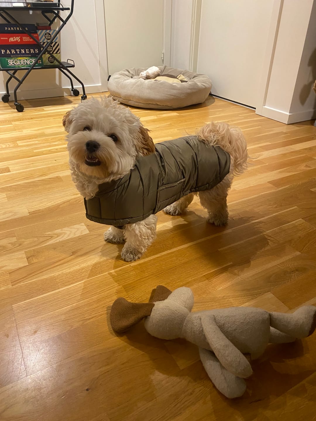 Customer photo review of Staey - Nora Hundefrakke, Taupe