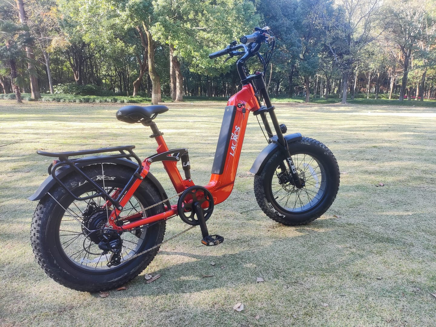 Customer photo review of Cyclone