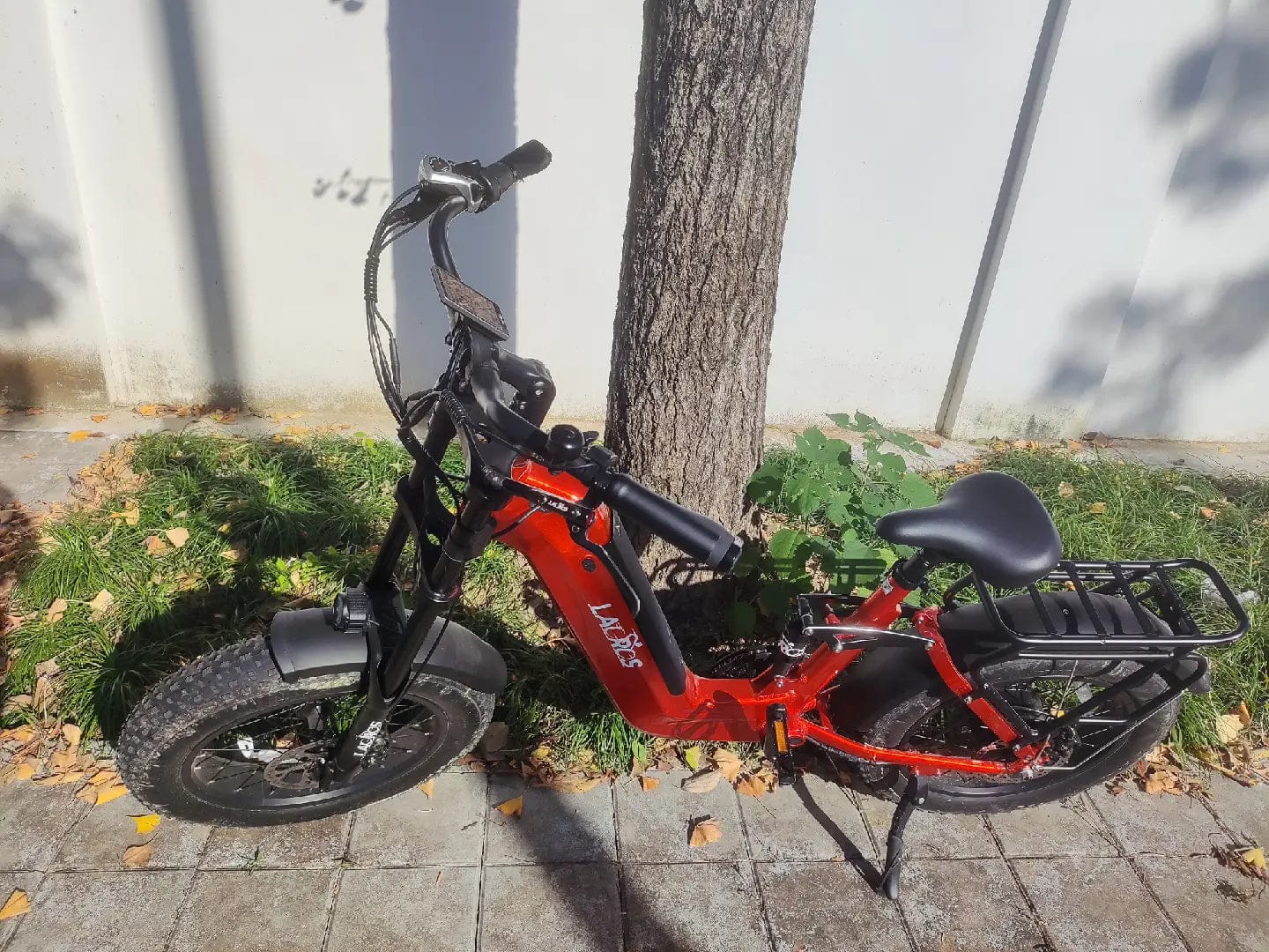 Customer photo review of Cyclone