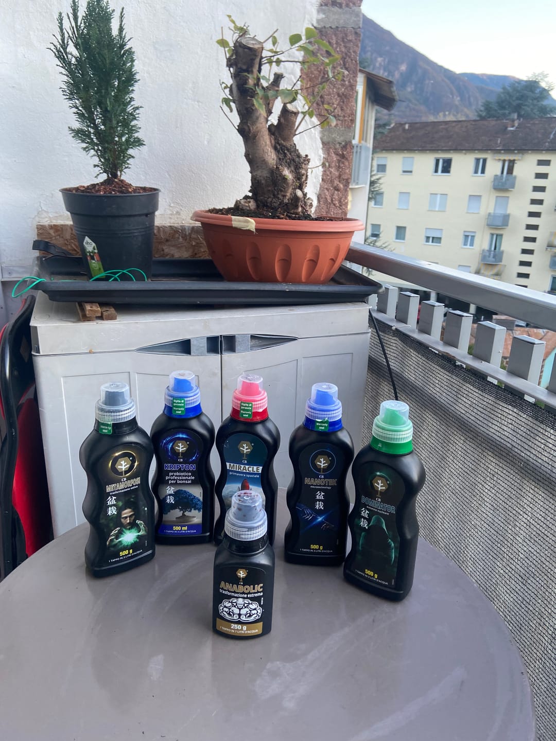 Customer photo review of KRIPTON CB® (Probiotico professionale per bonsai)