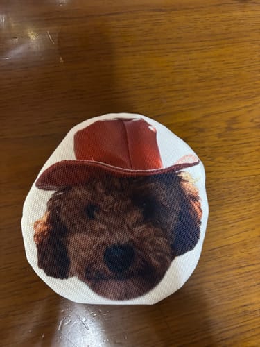 Customer photo review of 本物そっくり♪ペットフェイスバッグ