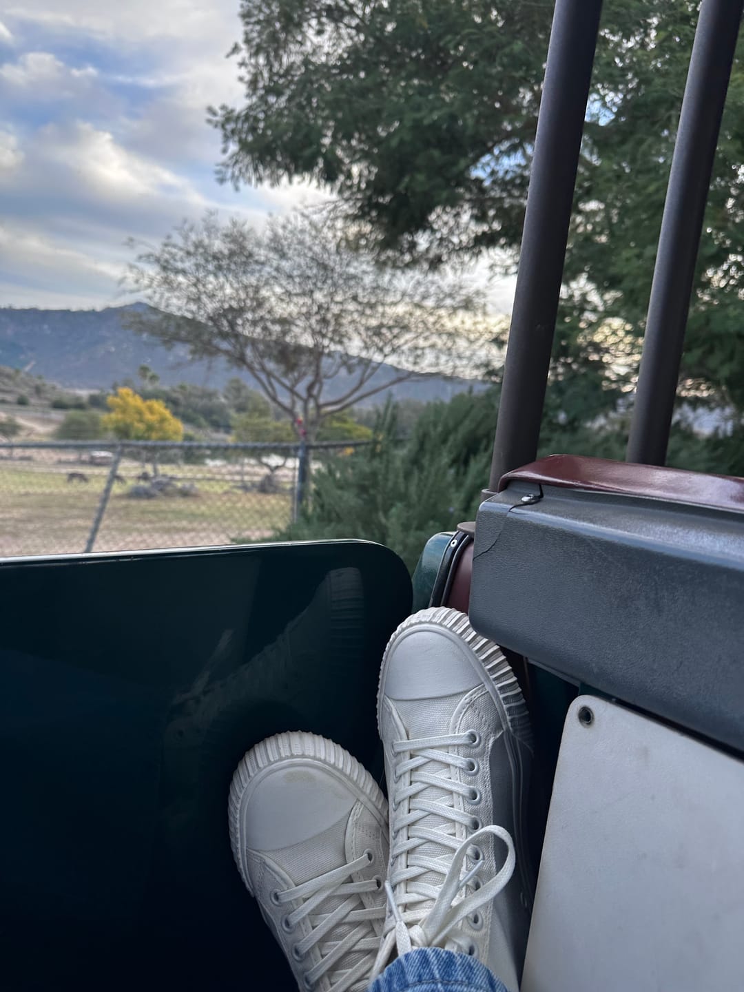 Customer photo review of Center Hi Classic