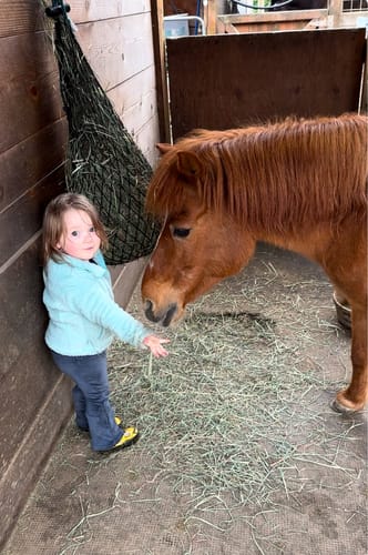 Customer photo review of Hay Chix® Half Bale Net