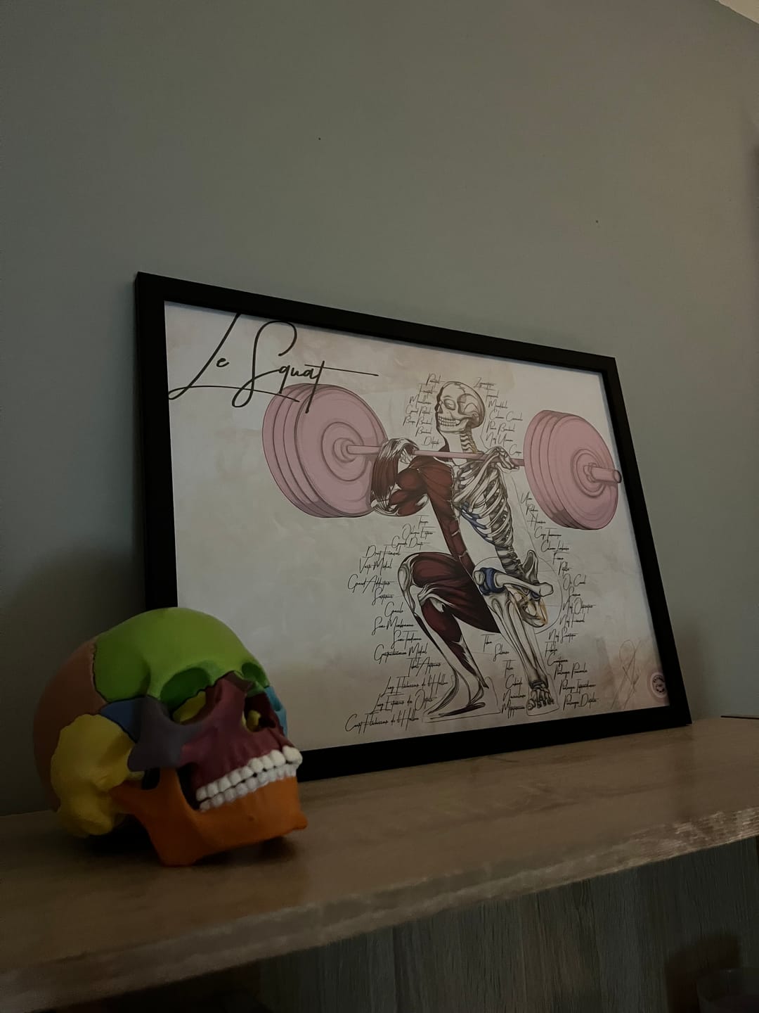 Customer photo review of Poster anatomique de l'haltérophilie - Le squat