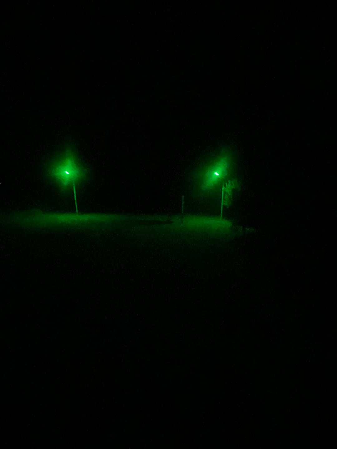 Customer photo review of Solar Green Light for Hunting Hogs Deer,Fish light -15,000lumens