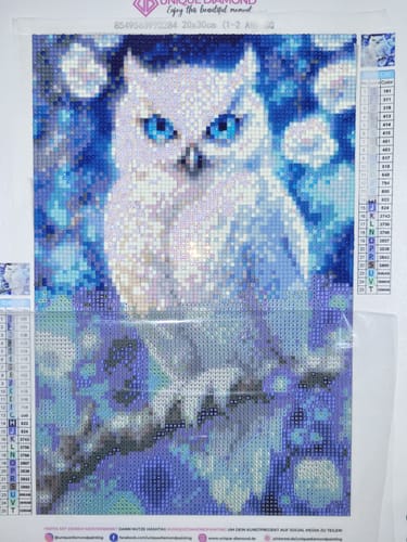 Customer photo review of 5D Diamond Painting AB Steine Weiße Eule