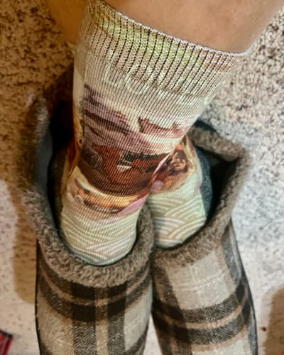 Customer photo review of Trust in the Lord (Proverbs 3:5)