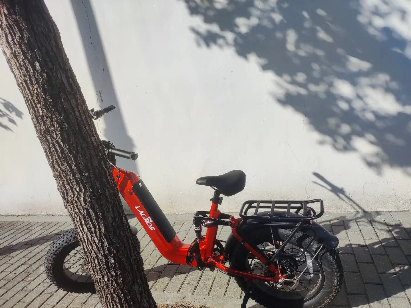 Customer photo review of Cyclone