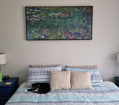 Customer photo review of Water Lilies, Monet