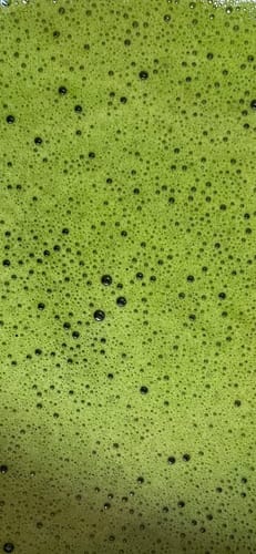 Customer photo review of Uji Tea Chanoka Silver