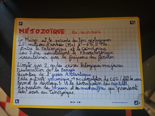 Avis photo d'un client sur Flashcards FLASH 2.0 OXFORD # 80 cartes 7,5 x 12,5 cm - petits carreaux