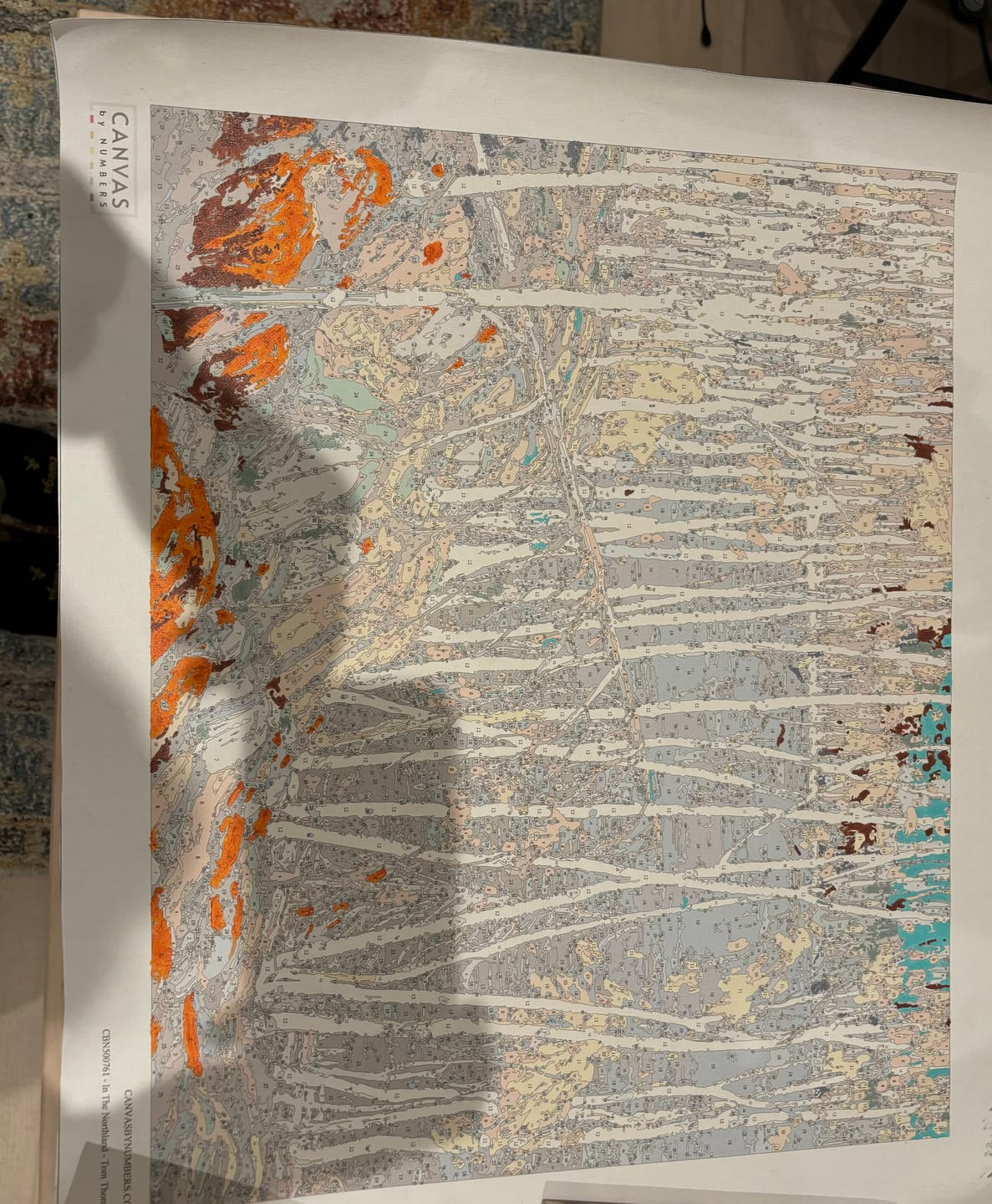 Customer photo review of In The Northland - Paint by Numbers