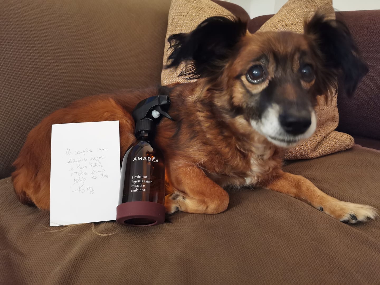 Customer photo review of Profumo igienizzante tessuti e ambienti 300ml