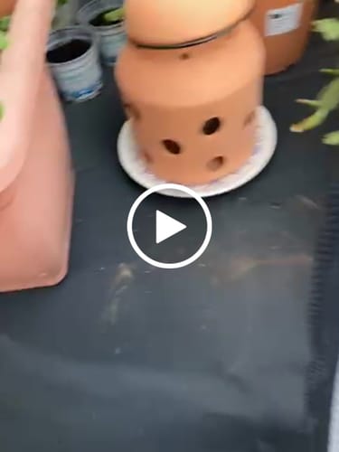 Customer video review of Ökologischer Kerzen-Frostwächter „FireFly“ in Pilzform aus Terracotta