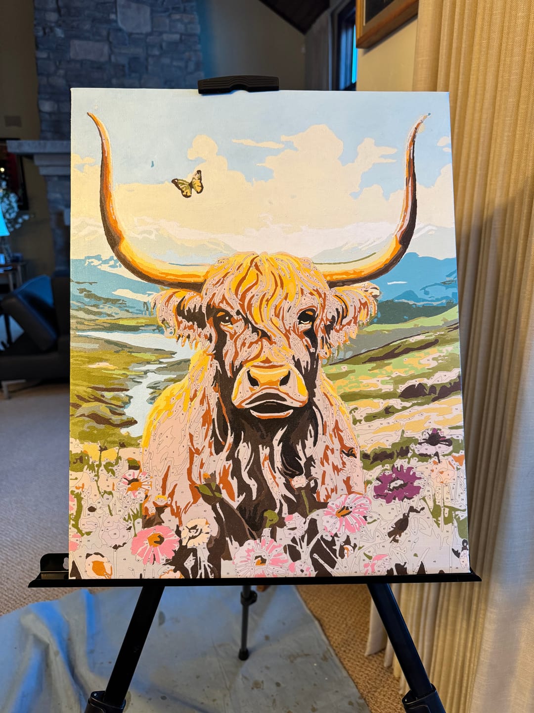 Customer photo review of Highlands Cow