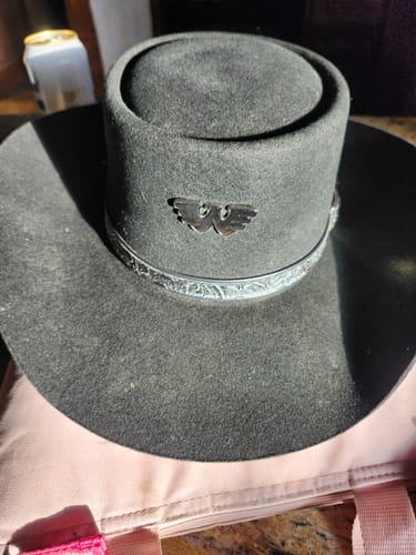 Customer photo review of Waylon Jennings Flying W Texas Eagle Lapel Pin Set