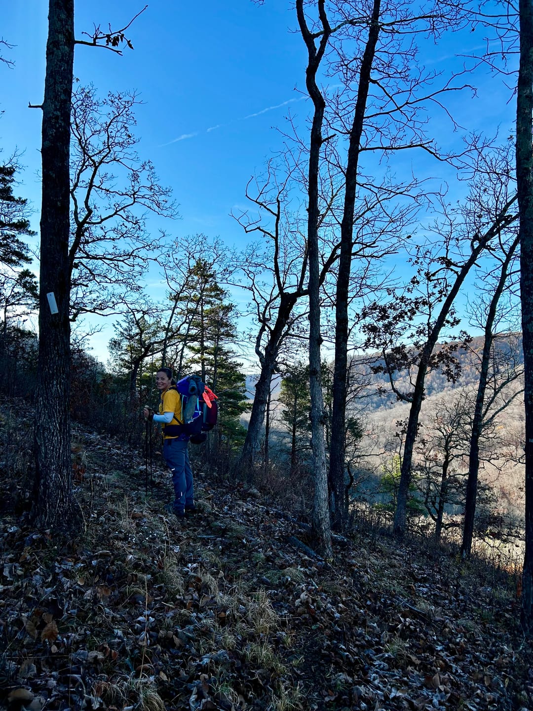 Customer photo review of LT5 Three Piece Carbon Trekking Poles (pair)