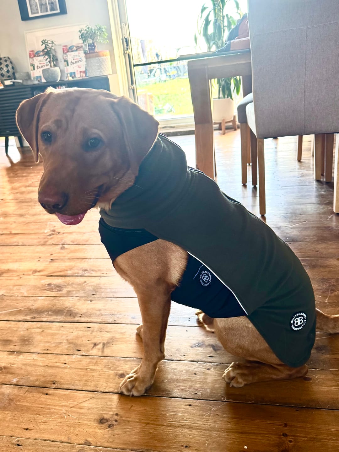 Customer photo review of Dog Fleece With Zip - Khaki