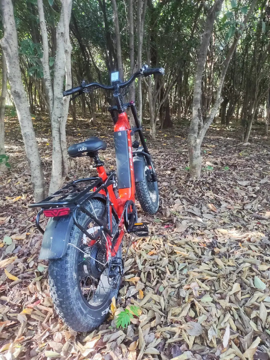 Customer photo review of Cyclone