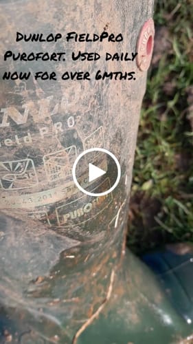 Customer video review of FieldPro Full Safety Wellington