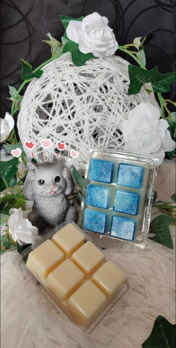 Customer photo review of Blister para Wax-melts