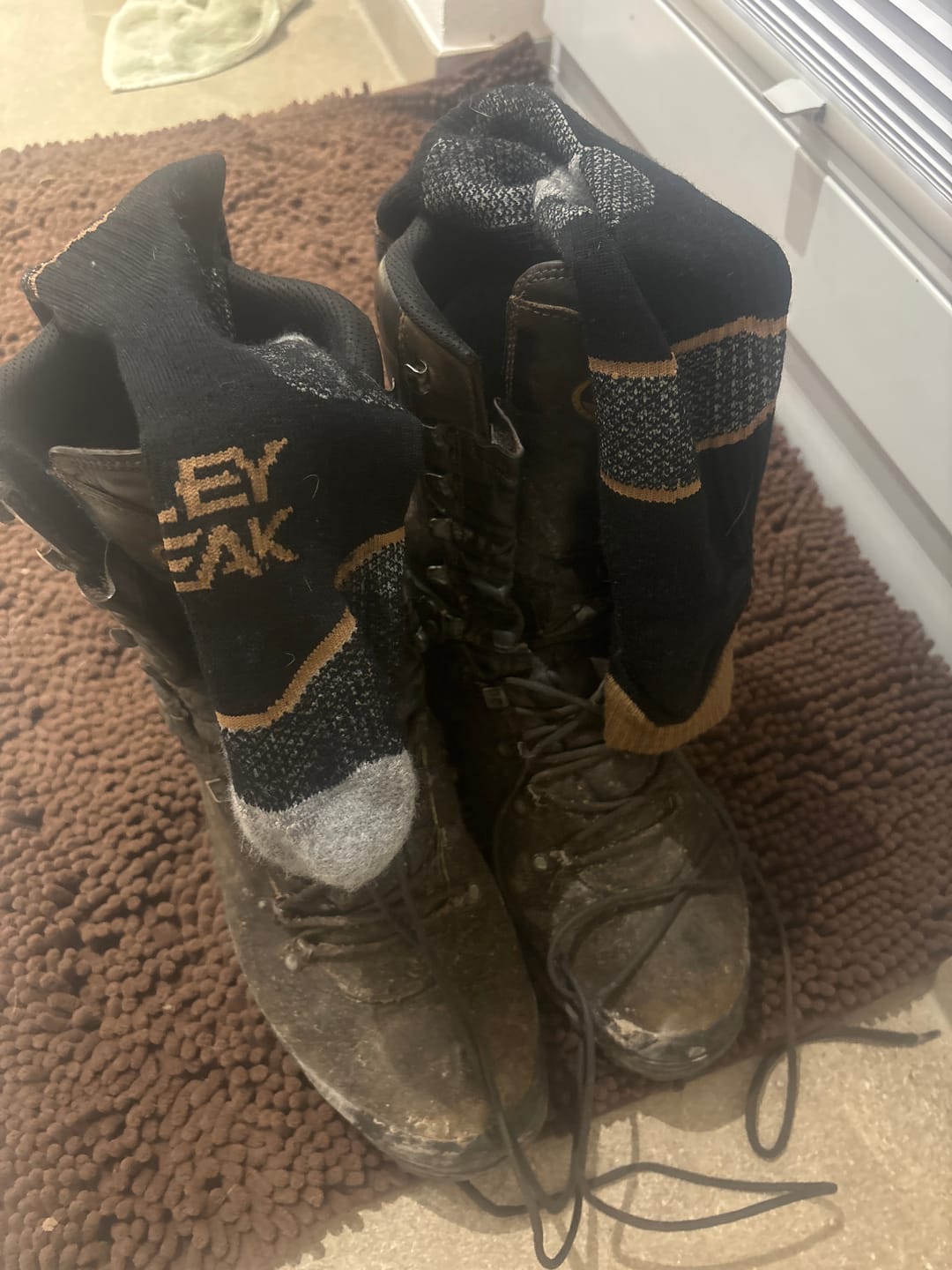 Customer photo review of Elite Merino Socks
