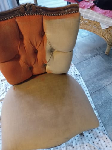 Customer photo review of Fabric Paint -- Orange