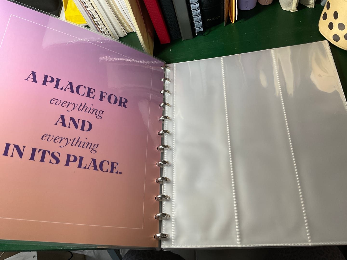 Customer photo review of Hands Off My PET Tape Storage Album
