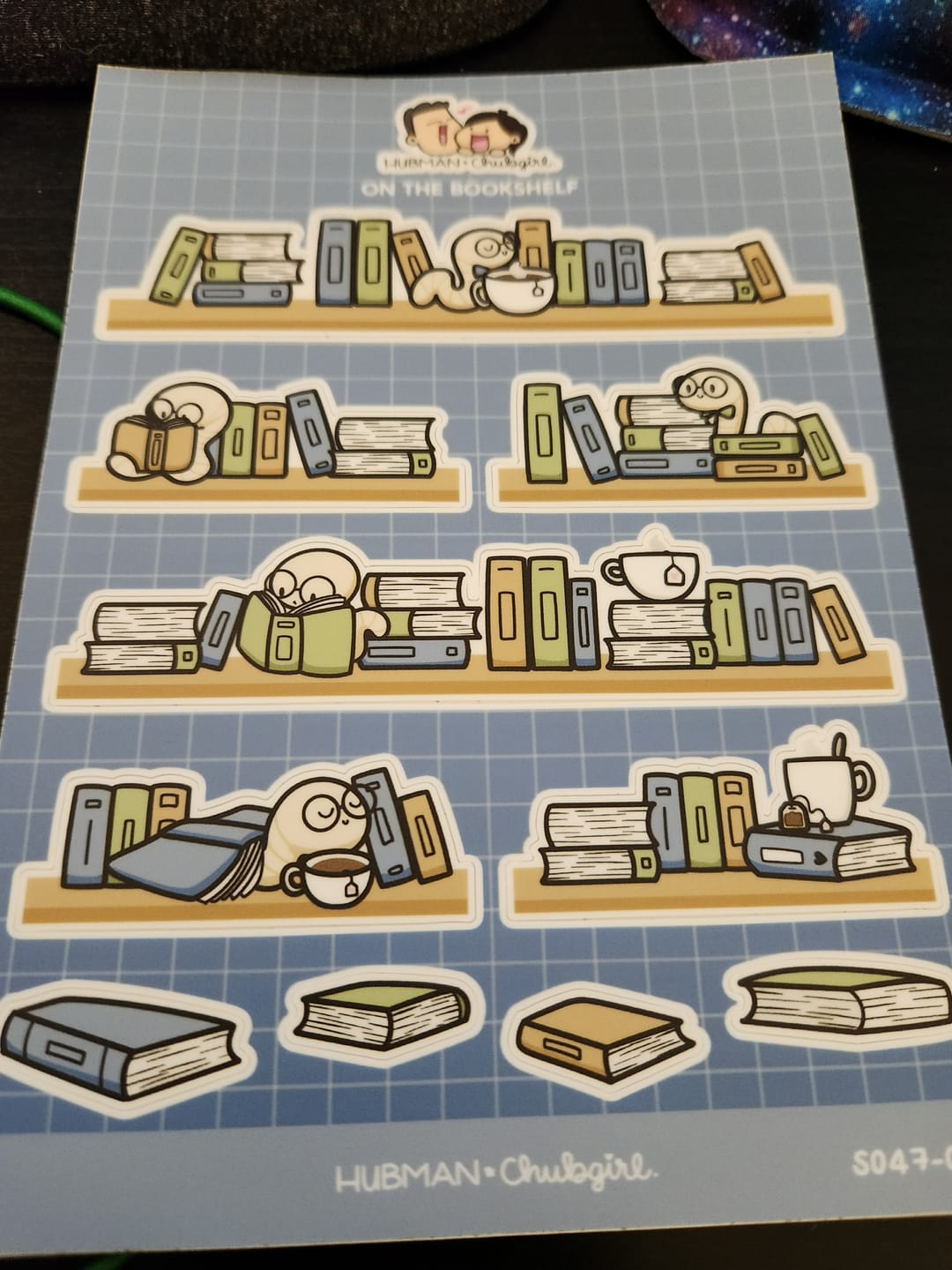 Customer photo review of On the Bookshelf Sticker Sheet
