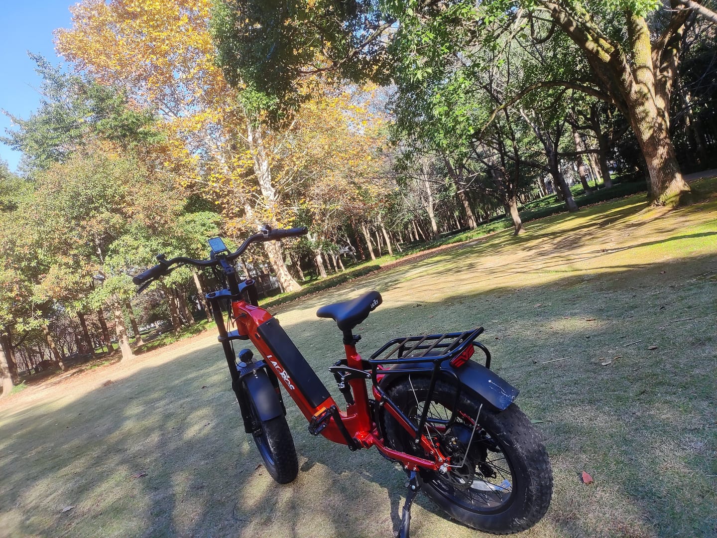 Customer photo review of Cyclone