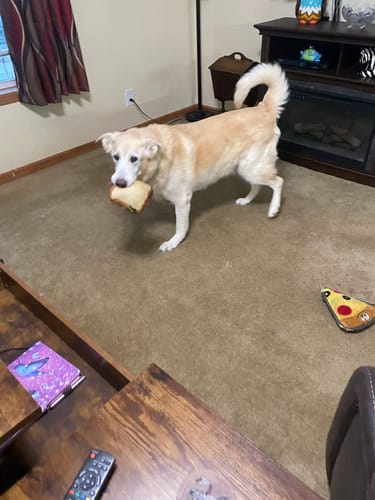 Customer photo review of Freedom Joint Drops