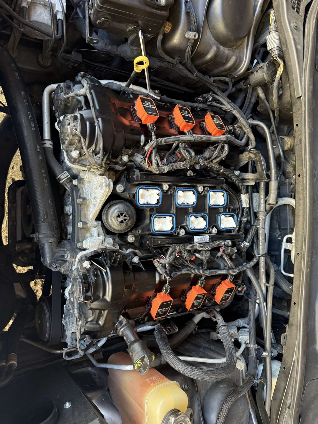 Customer photo review of RIPP V6 High Performance Coil Packs