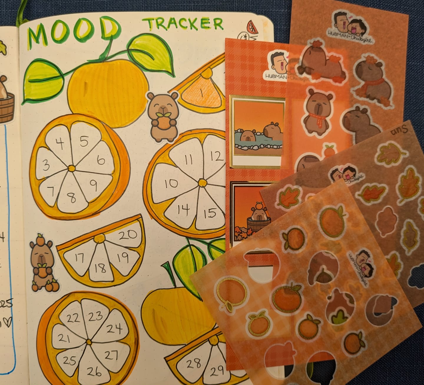 Customer photo review of Autumn Capybaras Variety Sticker Pack