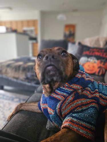 Customer photo review of Playa Poncho - Surprise Color