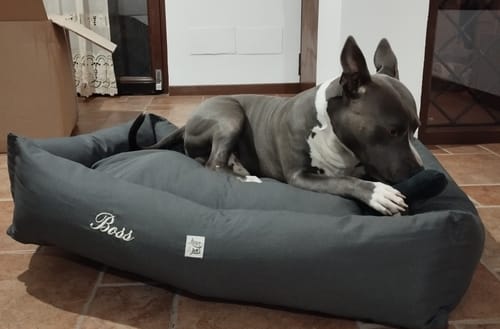 Customer photo review of Divanetto Cotone Siena