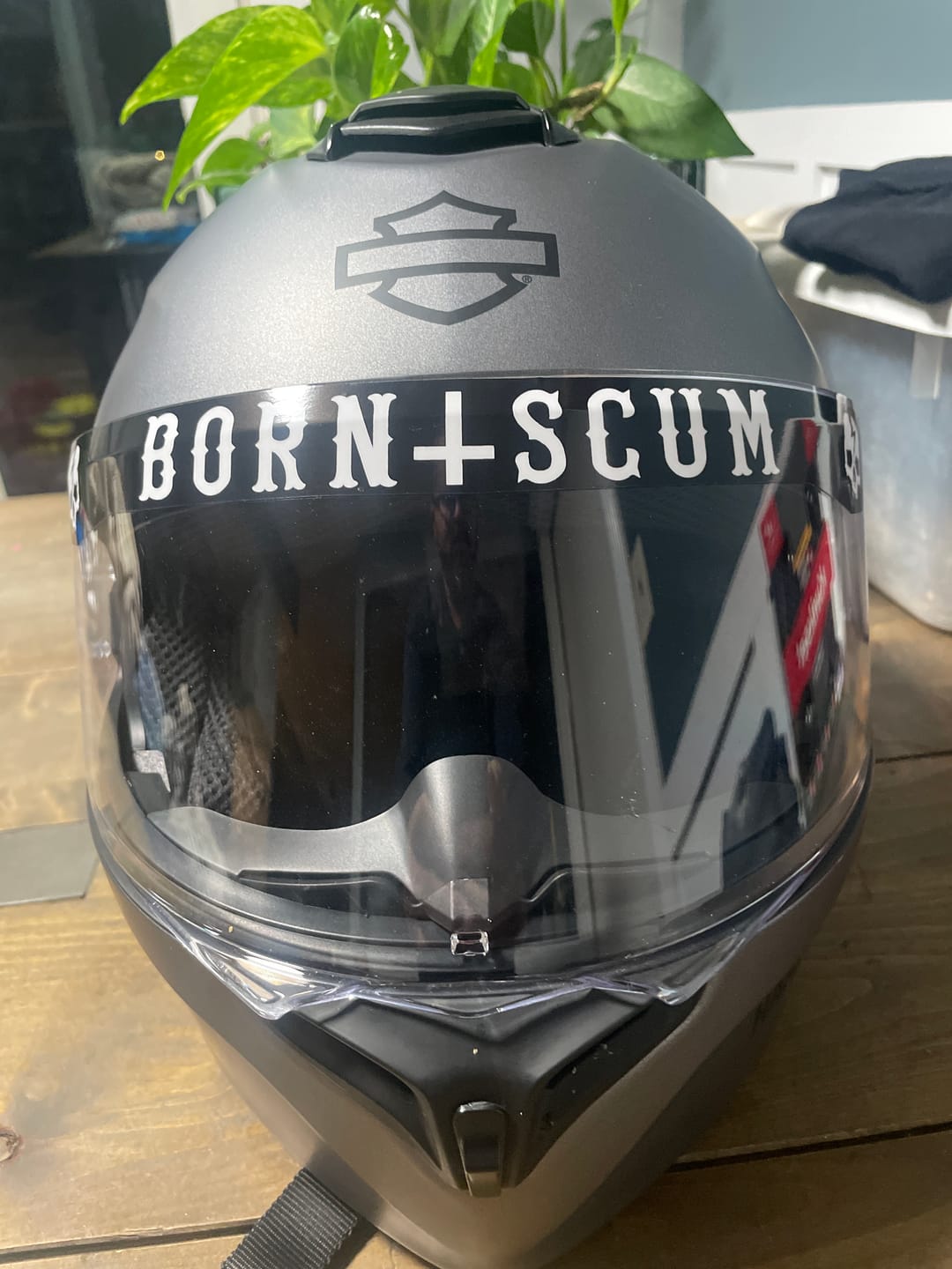 Customer photo review of INVERTED LOGO HELMET VISOR
