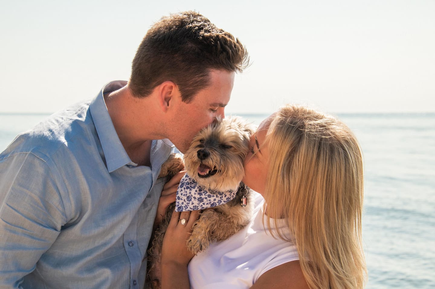 Customer photo review of French Blue Floral Dog Bandana