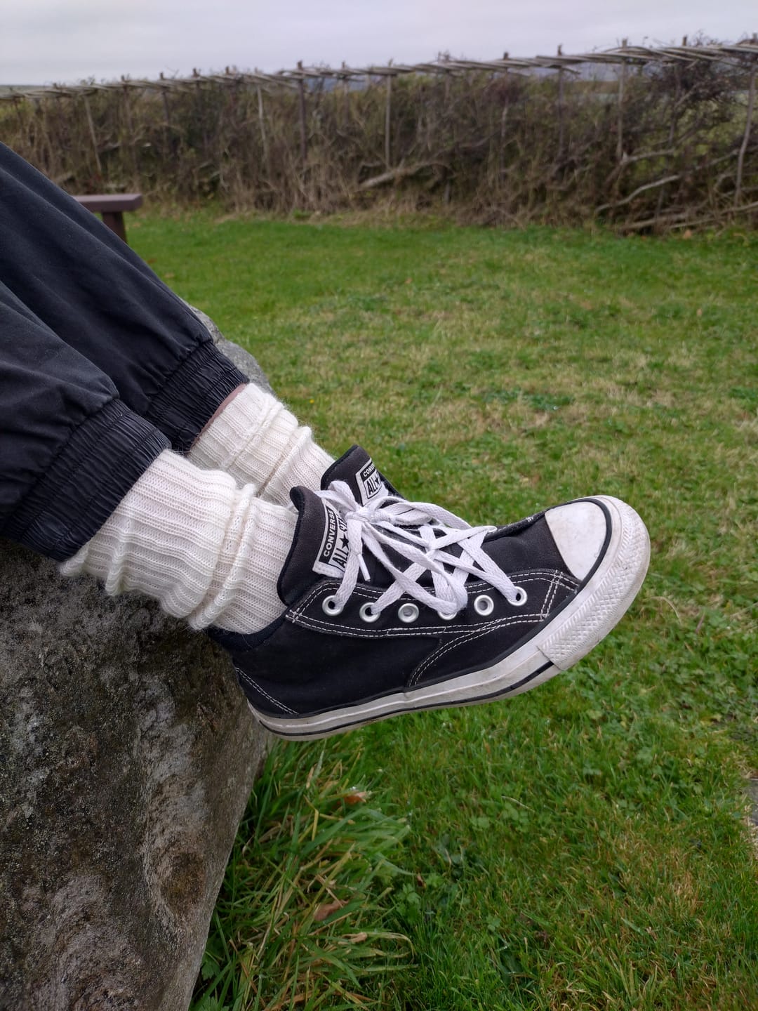Customer photo review of Sussex